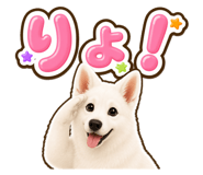 854493989