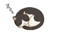854494169