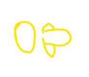 854497581