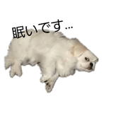 854498545