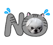 854498550