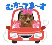 854499052