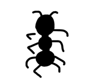 854503595