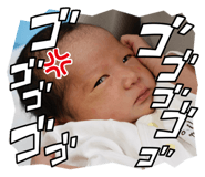 854503675