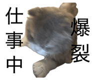 854505222