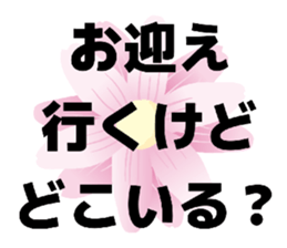 854506546