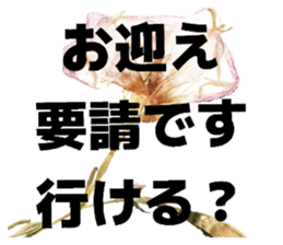 854506560