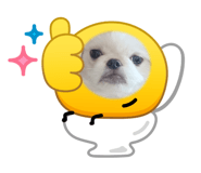 854507985