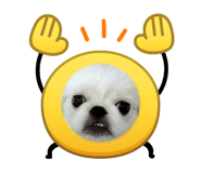 854507986