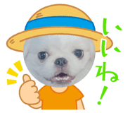854507987