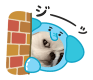 854507988