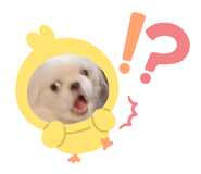 854507990