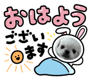854507991