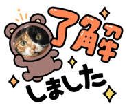 854510985