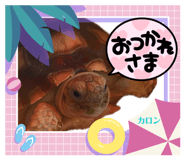 854511752