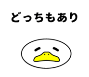 854512051