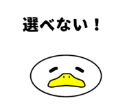 854512063