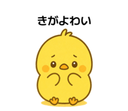 854514444