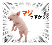 854514853