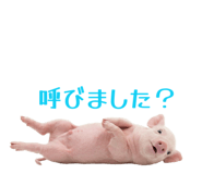 854514856