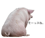 854514858