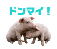 854514873
