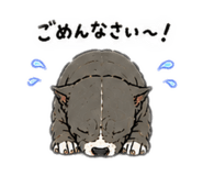 854516715