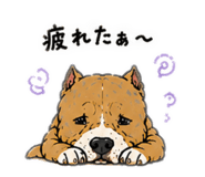 854516716