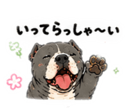 854516717