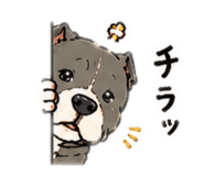 854516719
