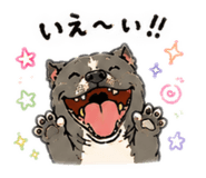854516725