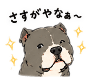 854516729