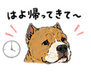 854516730