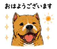 854516737