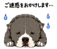 854516738