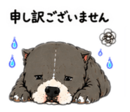 854516742