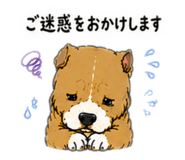854516743