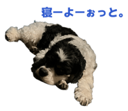 854520750