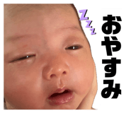 854520811