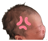 854520815
