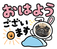 854522111