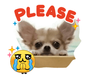 854522515