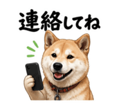 854523763