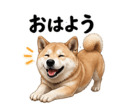 854523764