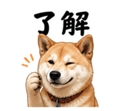 854523766