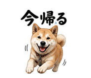 854523767