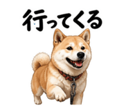 854523768