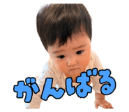 854525550