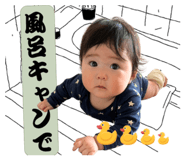 854525554