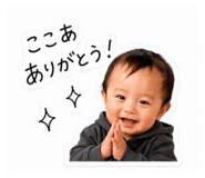 854528542